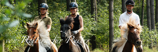 Pensionspferde auf dem Ferienhof Kalevelage